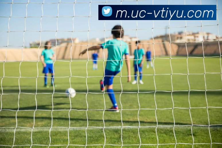 App Interface Preview